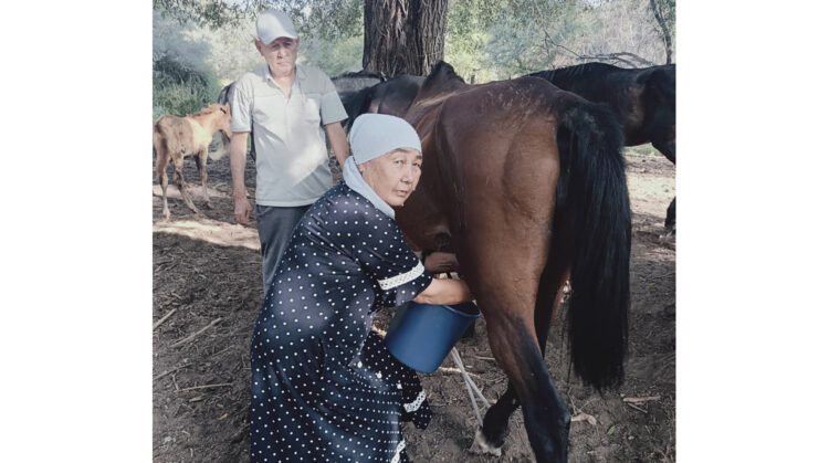 Жылқы баққанға – ырыс, қымыз ішкенге – шипа