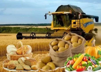 Ет, сүт, жұмыртқа: Қай салада өндіріс артып келеді?