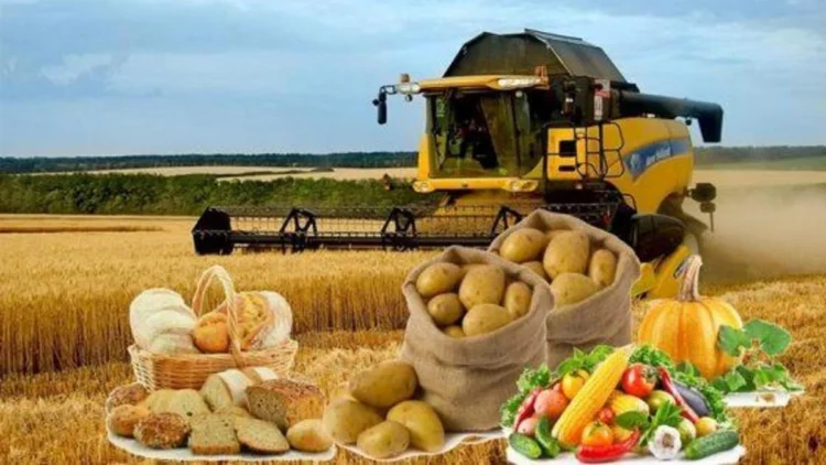 Ет, сүт, жұмыртқа: Қай салада өндіріс артып келеді?
