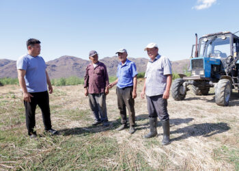 Шаруасы шалқыған қожалық