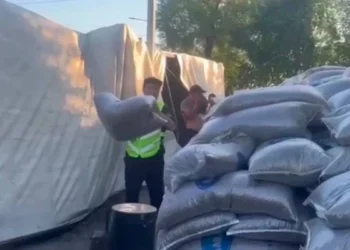 Жетісу облысында 35 тонна күнбағыс дәні тиелген жүк көлігі аударылды