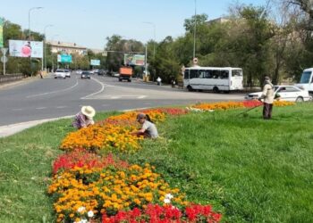 Талдықорғанда тазалық шаралары жалғасуда