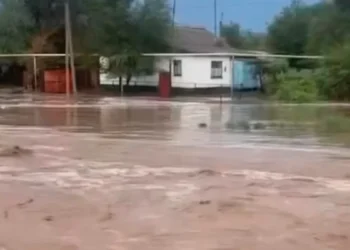 Жетісу облысында нөсер жауын салдарынан үйлердің ауласын су басты
