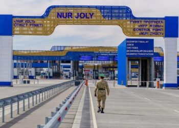 Жетісуда Қытайдан келген 42 тонна тауық еті кері қайтарылды