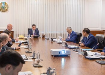 Премьер-министр өткізу пункттеріндегі жұмыстың кешігуіне байланысты шара қолдануды тапсырды