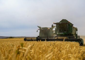 Елде егін жинау науқаны басталды