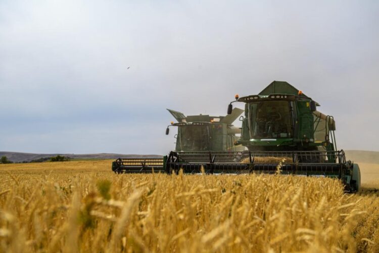 Елде егін жинау науқаны басталды