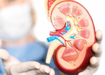 Гемодиализ – өмір мен өлім арасындағы көпір немесе аппаратқа байланған тағдырлар