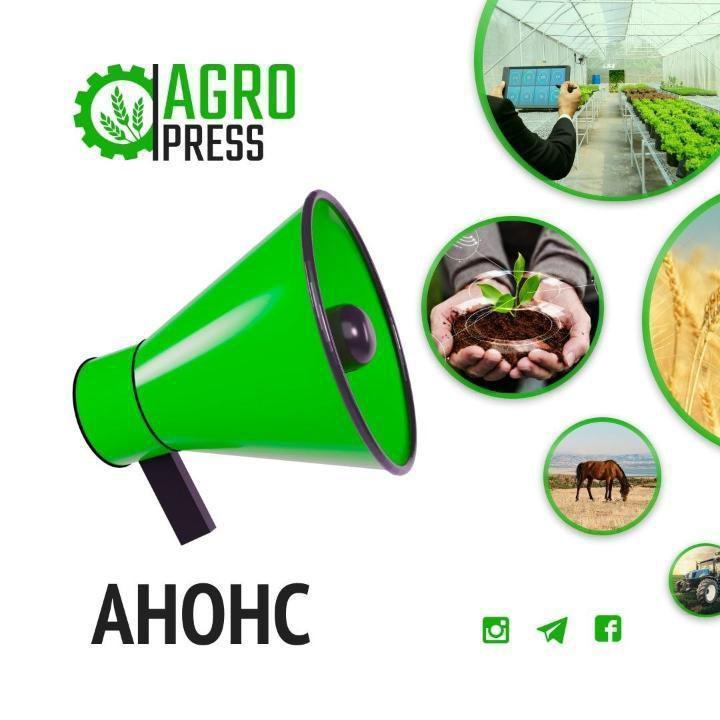 Жетісу облысында ауыл шаруашылығы министрінің міндетін атқарушы тұрғындармен кездеседі