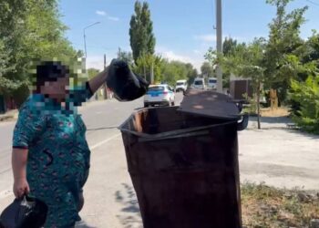 Аумақтық профилактика: Талдықорғанда полицейлер аулаларды аралады