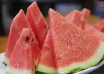 Кімдерге қарбыз жеуге болмайды — дәрігер кеңесі