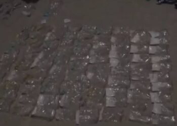 Талдықорған тұрғынынан мефедрон тәркіленді