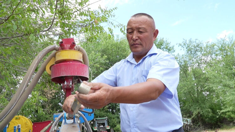 Құмды далада көк шықты: суару жүйесін ойлап тапқан шаруа