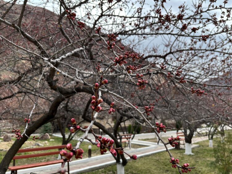 8 қыркүйек: Қазақстанның бірнеше өңірінде дауылды ескерту жарияланды