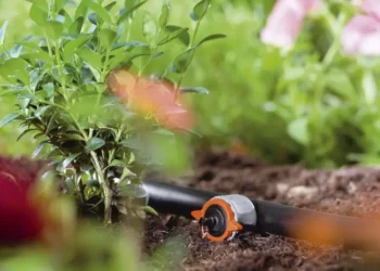 Жетісуда тамшылатып суару өнімділікті 50 %-ға арттырды