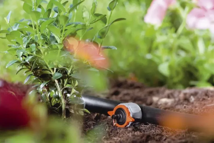 Жетісуда тамшылатып суару өнімділікті 50 %-ға арттырды