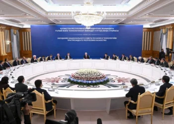 Жалған ақпаратпен күресу үшін қоғамның цифрлық сауаты артуы қажет – Президент