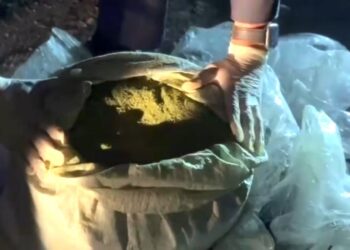 Жетісу облысында ерлі-зайыпты ірі көлемдегі есірткімен ұсталды