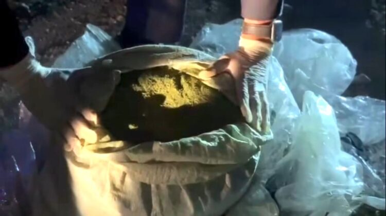 Жетісу облысында ерлі-зайыпты ірі көлемдегі есірткімен ұсталды