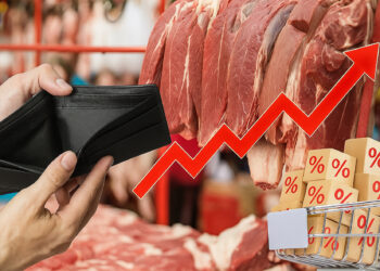 Ет неге қымбат?