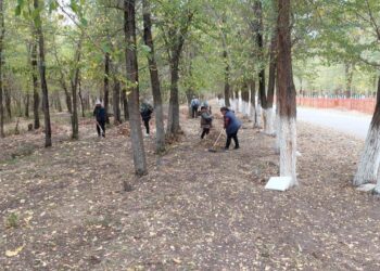 «Таза бейсенбі»: Жетісуда 500 тонна қоқыс шығарылып, 300 көшет отырғызылды