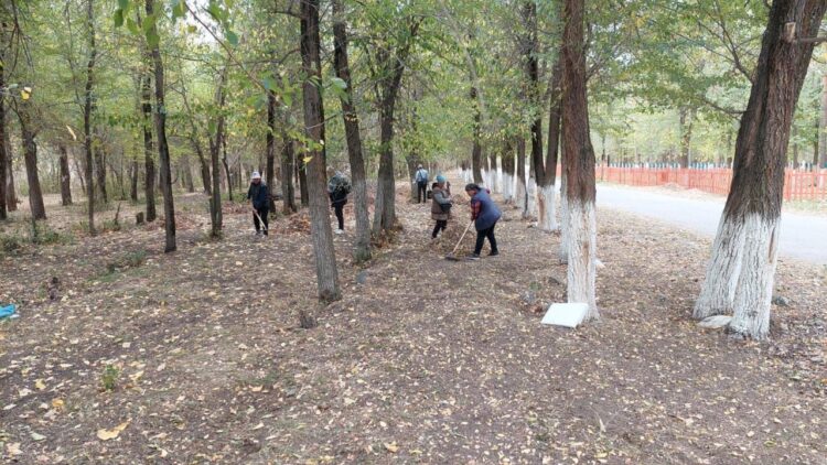 «Таза бейсенбі»: Жетісуда 500 тонна қоқыс шығарылып, 300 көшет отырғызылды