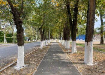 Биыл Жетісу облысында «Таза Қазақстан» бағдарламасы аясында 21 жасыл аймақ абаттандырылады