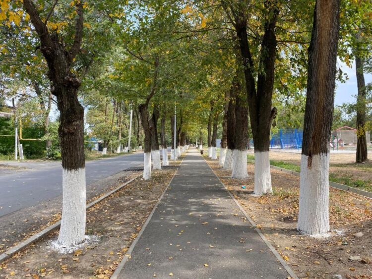 Биыл Жетісу облысында «Таза Қазақстан» бағдарламасы аясында 21 жасыл аймақ абаттандырылады
