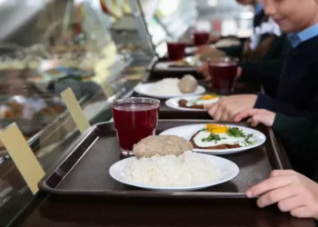 Көксу ауданында мектеп асханасындағы самсадан құрт табылды