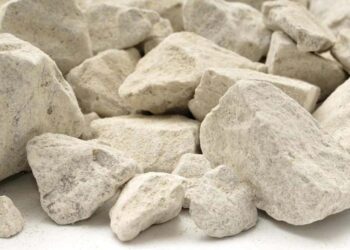 Жетісуда жерді рұқсатсыз пайдаланған компания жауапқа тартылды