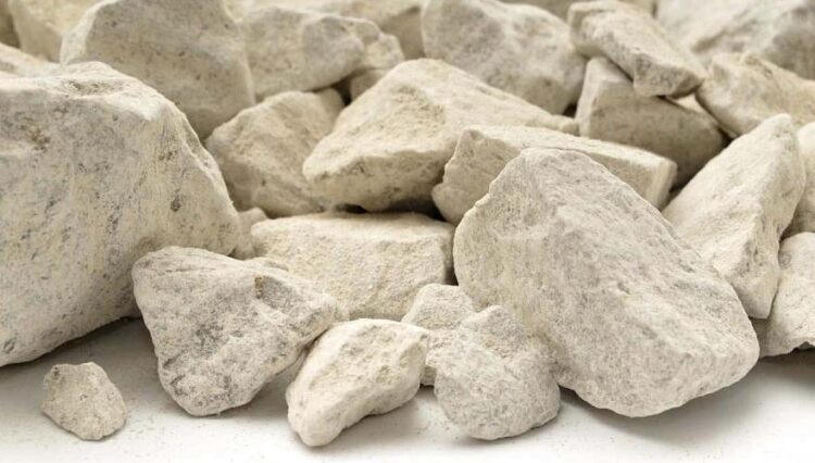 Жетісуда жерді рұқсатсыз пайдаланған компания жауапқа тартылды