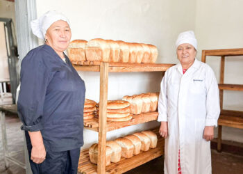Бөлкесі  тәтті бизнес: қарашоқылық кәсіпкерлердің берекелі кәсібі