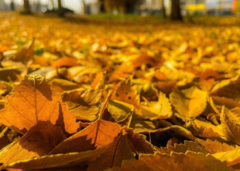 26 қыркүйекке арналған ауа райы болжамы