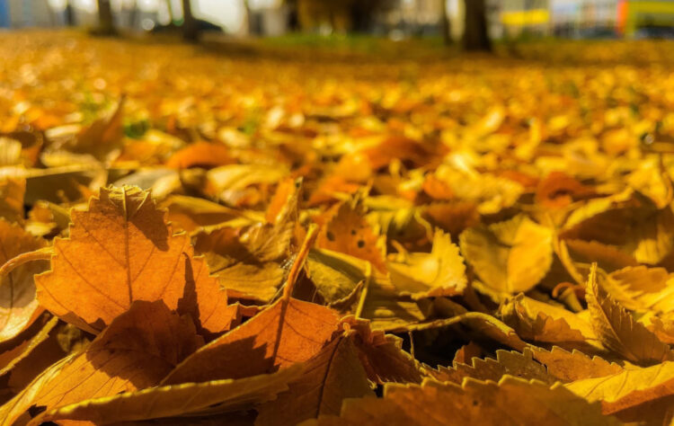 26 қыркүйекке арналған ауа райы болжамы