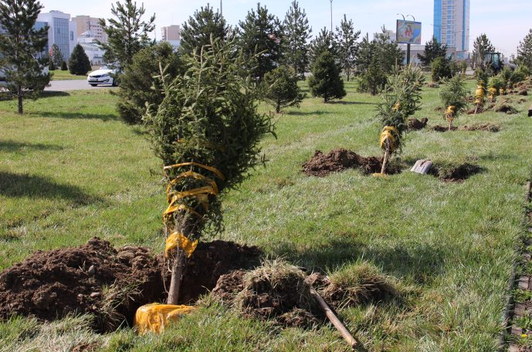 Ольга Владимировна Мәскеуде жезөкшелікпен айналысады