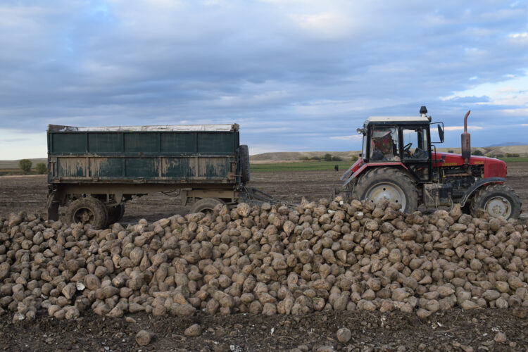 Егіс алқабының қайтарымы мол