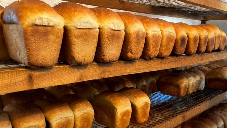 Бүгін – Дүниежүзілік нан күні