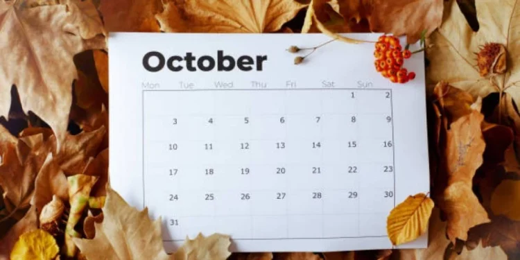 Оқушылар күзгі каникулда неше күн демалады?