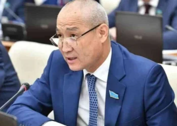 ЛГБТ насихатына тыйым салынуға тиіс – Жаңбыршин