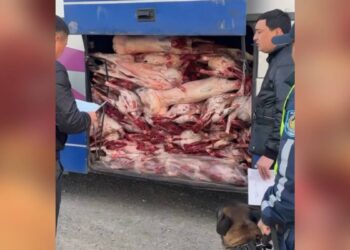 Жетісу облысында полицейлер заңсыз ет тасымалдау деректерін анықтады