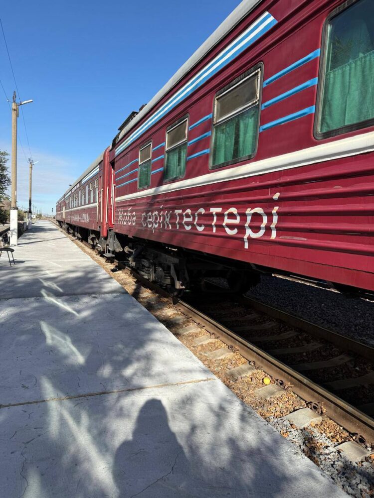 Жетісу облысының 3 мыңға жуық тұрғыны «Саламатты Қазақстан» пойызы дәрігерлерінен көмек алды