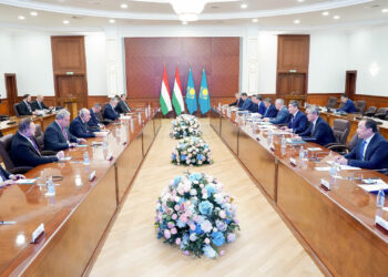 Олжас Бектенов пен Мажарстан Президенті Тамаш Шуйок экономикалық ынтымақтастықты дамыту мәселелерін талқылады