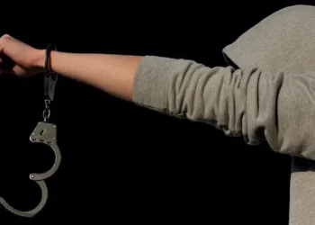 Қазақстанда қылмысқа жиі баратындардың портреті жасалды