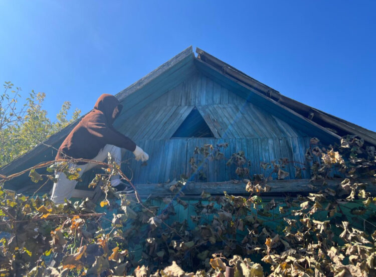 Еріктілер көмегі