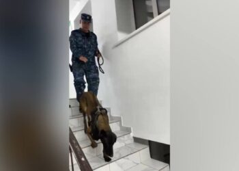 Талдықорғанда полицейлер есірткіге қарсы профилактикалық іс-шара өткізді