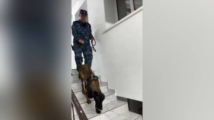 Талдықорғанда полицейлер есірткіге қарсы профилактикалық іс-шара өткізді