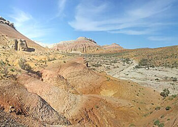 Сирек кездесетін жануарларды тіркеді