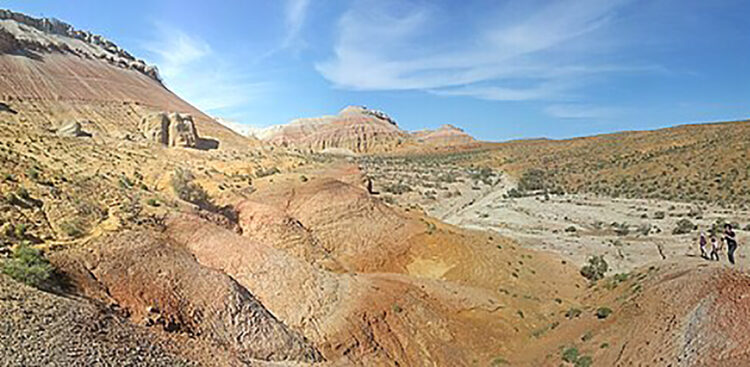 Сирек кездесетін жануарларды тіркеді