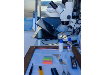 Дала мен зертхана  арасындағы көпір