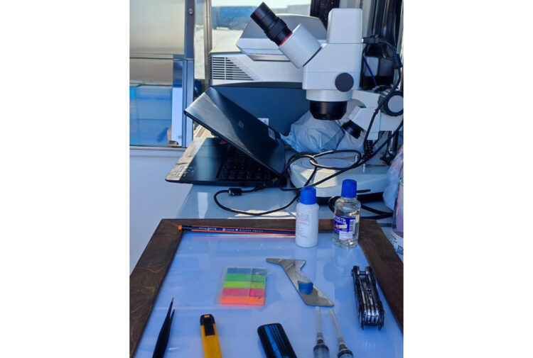 Дала мен зертхана  арасындағы көпір